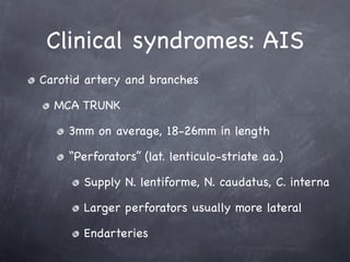 Clinical syndromes: AIS
Carotid artery and branches

  MCA TRUNK

    3mm on average, 18-26mm in length

    “Perforators” (lat. lenticulo-striate aa.)

       Supply N. lentiforme, N. caudatus, C. interna

       Larger perforators usually more lateral

       Endarteries
 
