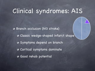 Clinical syndromes: AIS

 Branch occlusion (M3 stroke)

   Classic wedge-shaped infarct shape

   Symptoms depend on branch

   Cortical symptoms dominate

   Good rehab potential
 