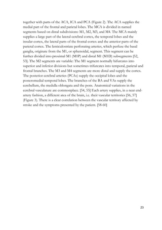 23
together with parts of the ACA, ICA and PCA (Figure 2). The ACA supplies the
medial part of the frontal and parietal lobes. The MCA is divided in named
segments based on distal subdivisions: M1, M2, M3, and M4. The MCA mainly
supplies a large part of the lateral cerebral cortex, the temporal lobes and the
insular cortex, the lateral parts of the frontal cortex and the anterior parts of the
parietal cortex. The lenticulostriate perforating arteries, which perfuse the basal
ganglia, originate from the M1, or sphenoidal, segment. This segment can be
further divided into proximal M1 (M1P) and distal M1 (M1D) subsegments [52,
53]. The M2 segments are variable: The M1 segment normally bifurcates into
superior and inferior divisions but sometimes trifurcates into temporal, parietal and
frontal branches. The M3 and M4 segments are more distal and supply the cortex.
The posterior cerebral arteries (PCAs) supply the occipital lobes and the
posteromedial temporal lobes. The branches of the BA and VAs supply the
cerebellum, the medulla oblongata and the pons. Anatomical variations in the
cerebral vasculature are commonplace. [54, 55] Each artery supplies, in a near end-
artery fashion, a different area of the brain, i.e. their vascular territories [56, 57]
(Figure 3). There is a clear correlation between the vascular territory affected by
stroke and the symptoms presented by the patient. [58-60]
 