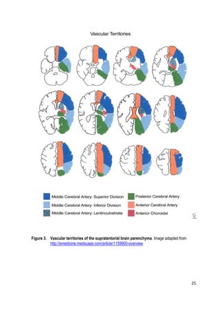 25
Figure 3. Vascular territories of the supratentorial brain parenchyma. Image adapted from
http://emedicine.medscape.com/article/1159900-overview
 