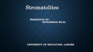 PRESENTED BY :
MUHAMMAD BILAL
UNIVERSITY OF EDUCATION, LAHORE
Stromatolites
 