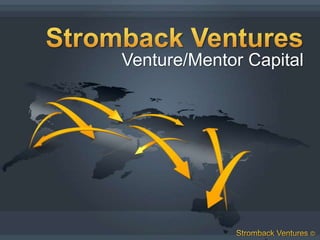 Venture/Mentor Capital
 