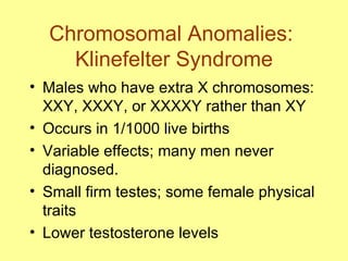 Chromosomal Anomalies:  Klinefelter Syndrome Males who have extra X chromosomes: XXY, XXXY, or XXXXY rather than XY Occurs in 1/1000 live births Variable effects; many men never diagnosed. Small firm testes; some female physical traits Lower testosterone levels 