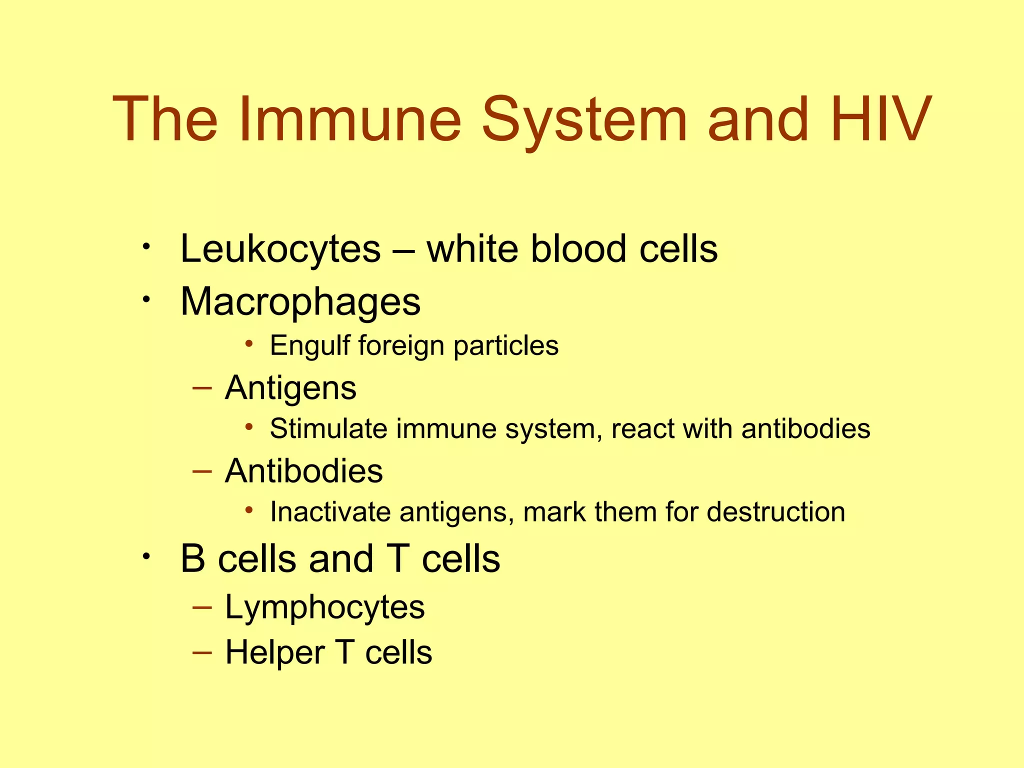 The Immune System and HIV Leukocytes – white blood cells Macrophages  Engulf foreign particles Antigens  Stimulate immune system, react with antibodies Antibodies Inactivate antigens, mark them for destruction B cells and T cells Lymphocytes Helper T cells 