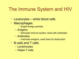 The Immune System and HIV Leukocytes – white blood cells Macrophages  Engulf foreign particles Antigens  Stimulate immune system, react with antibodies Antibodies Inactivate antigens, mark them for destruction B cells and T cells Lymphocytes Helper T cells 