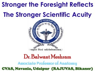 Stronger the Foresight Reflects
The Stronger Scientific Acuity
Dr. Balwant Meshram
Associate Professor of Anatomy
CVAS, Navania, Udaipur (RAJUVAS, Bikaner)
 