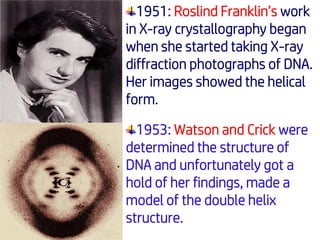 1951: Roslind Franklin’s work
in X-ray crystallography began
when she started taking X-ray
diffraction photographs of DNA.
Her images showed the helical
form.
1953: Watson and Crick were
determined the structure of
DNA and unfortunately got a
hold of her findings, made a
model of the double helix
structure.
 