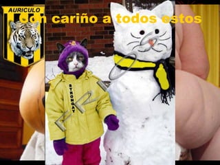 Con cariño a todos estos