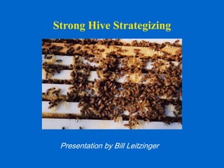Strong Hive Strategizing




 Presentation by Bill Leitzinger
 