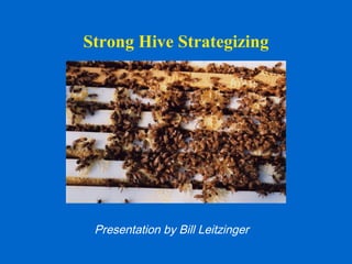 Strong Hive Strategizing




 Presentation by Bill Leitzinger
 