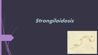 Strongiloidosis
 