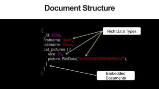 13
Document Structure
{
_id: 1234,
firstname: 'Juan',
lastname: 'Olivo',
cat_pictures: [ {
size: 10,
picture: BinData("0x133334299399299432"),
}
]
}
Rich Data Types
Embedded
Documents
 