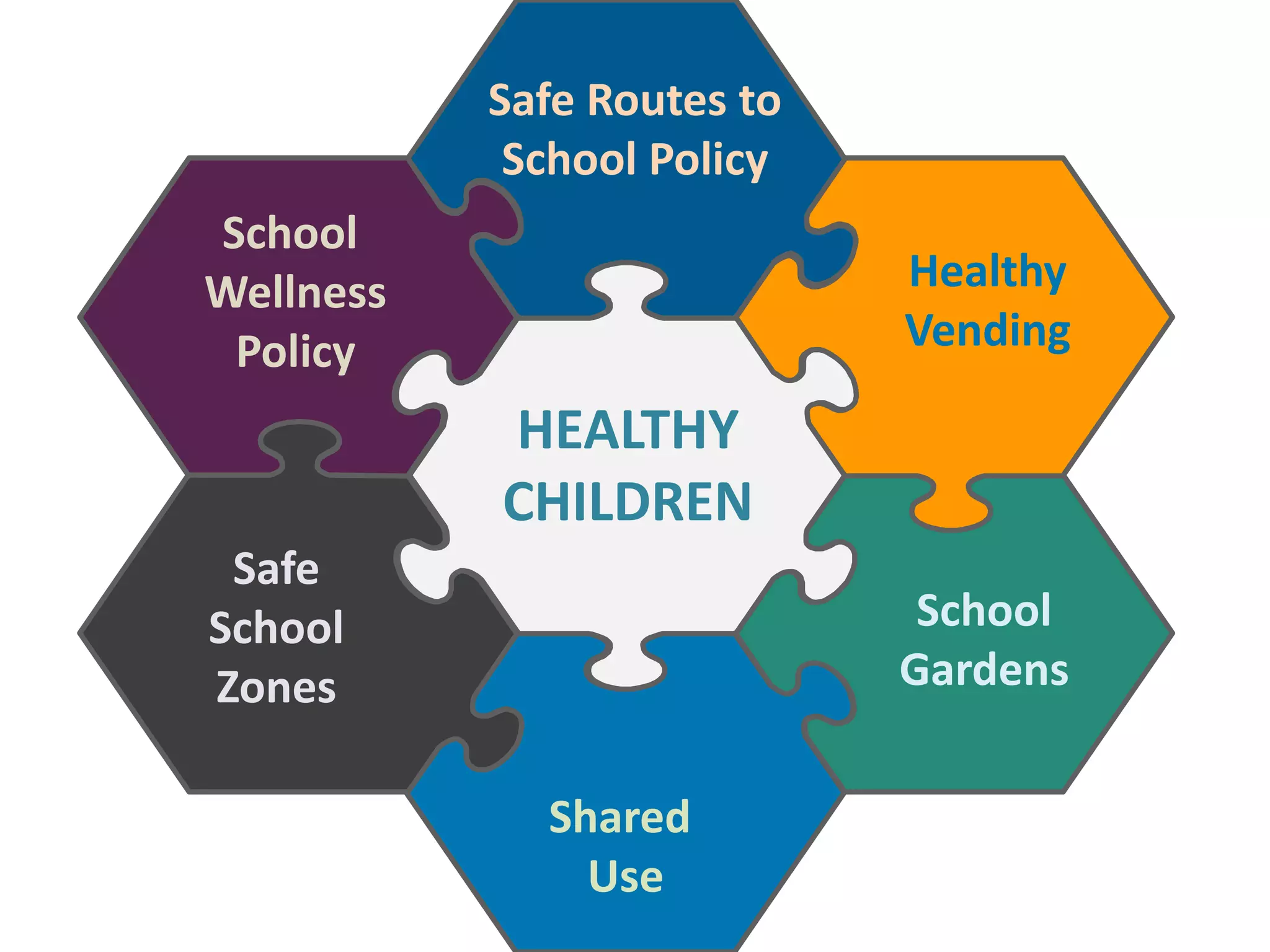 Safe Routes to 
School Policy 
School 
Wellness 
Policy 
School Gardens 
Healthy 
Vending 
Safe 
School 
Zones 
Shared Use 
HEALTHY CHILDREN  