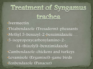 48-224 days in turkeys 