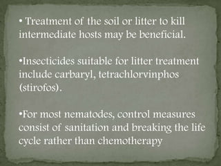 approximately 98 days in guinea fowl.Pathogenesiscauses catarrhal tracheitis, asphyxiation and pneumonia