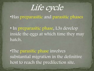 HostsDefinitive hosts of Syngamus tracheaare chickens, turkeys, geese, guinea fowl, pheasants, peafowl, quail, and other birds of all ages