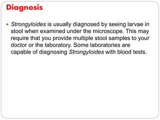 Diagnosis
 Strongyloides is usually diagnosed by seeing larvae in
stool when examined under the microscope. This may
require that you provide multiple stool samples to your
doctor or the laboratory. Some laboratories are
capable of diagnosing Strongyloides with blood tests.
 