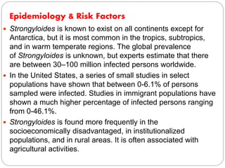  Strongyloides is known to exist on all continents except for
Antarctica, but it is most common in the tropics, subtropics,
and in warm temperate regions. The global prevalence
of Strongyloides is unknown, but experts estimate that there
are between 30–100 million infected persons worldwide.
 In the United States, a series of small studies in select
populations have shown that between 0-6.1% of persons
sampled were infected. Studies in immigrant populations have
shown a much higher percentage of infected persons ranging
from 0-46.1%.
 Strongyloides is found more frequently in the
socioeconomically disadvantaged, in institutionalized
populations, and in rural areas. It is often associated with
agricultural activities.
Epidemiology & Risk Factors
 