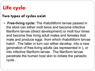 Life cycle
 Free-living cycle: The rhabditiform larvae passed in
the stool can either molt twice and become infective
filariform larvae (direct development) or molt four times
and become free living adult males and females that
mate and produce eggs from which rhabditiform larvae
hatch . The latter in turn can either develop into a new
generation of free-living adults (as represented in ), or
into infective filariform larvae . The filariform larvae
penetrate the human host skin to initiate the parasitic
cycle .
Two types of cycles exist:
 