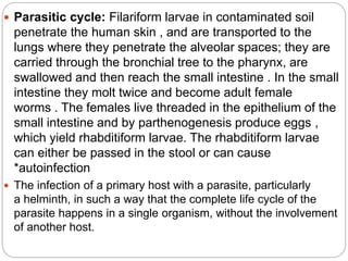  Parasitic cycle: Filariform larvae in contaminated soil
penetrate the human skin , and are transported to the
lungs where they penetrate the alveolar spaces; they are
carried through the bronchial tree to the pharynx, are
swallowed and then reach the small intestine . In the small
intestine they molt twice and become adult female
worms . The females live threaded in the epithelium of the
small intestine and by parthenogenesis produce eggs ,
which yield rhabditiform larvae. The rhabditiform larvae
can either be passed in the stool or can cause
*autoinfection
 The infection of a primary host with a parasite, particularly
a helminth, in such a way that the complete life cycle of the
parasite happens in a single organism, without the involvement
of another host.
 