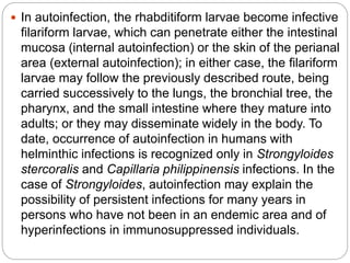  In autoinfection, the rhabditiform larvae become infective
filariform larvae, which can penetrate either the intestinal
mucosa (internal autoinfection) or the skin of the perianal
area (external autoinfection); in either case, the filariform
larvae may follow the previously described route, being
carried successively to the lungs, the bronchial tree, the
pharynx, and the small intestine where they mature into
adults; or they may disseminate widely in the body. To
date, occurrence of autoinfection in humans with
helminthic infections is recognized only in Strongyloides
stercoralis and Capillaria philippinensis infections. In the
case of Strongyloides, autoinfection may explain the
possibility of persistent infections for many years in
persons who have not been in an endemic area and of
hyperinfections in immunosuppressed individuals.
 