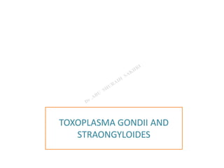 TOXOPLASMA GONDII AND
STRAONGYLOIDES
 
