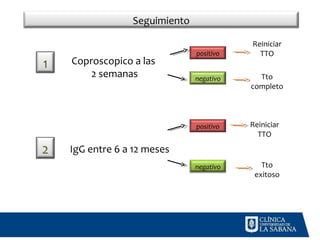 Coproscopia Strongyloides farmacologia clinica | PPT