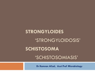 STRONGYLOIDES ‘STRONGYLOIDOSIS’ SCHISTOSOMA ‘SCHISTOSOMIASIS’ Dr Kamran Afzal,  Asst Prof Microbiology 