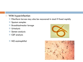 With hyperinfection Filariform larvae may also be recovered in stool if fixed rapidly Sputum samples Bronchioalveolar lavage Urinalysis Semen analysis CSF analysis NO eosinophilia! 