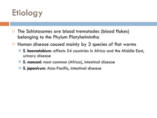 Etiology The Schistosomes are blood trematodes (blood flukes) belonging to the Phylum Platyhelmintha Human disease caused mainly by 3 species of flat worms S. haematobium : affects 54 countries in Africa and the Middle East, urinary disease S. mansoni : most common (Africa), intestinal disease S. japonicum : Asia-Pacific, intestinal disease 