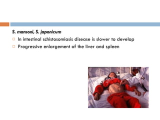 S. mansoni, S. japonicum In intestinal schistosomiasis disease is slower to develop Progressive enlargement of the liver and spleen 