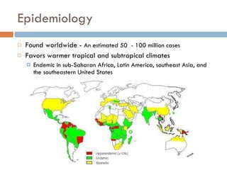 Epidemiology Found worldwide -  An estimated 50  - 100 million cases Favors warmer tropical and subtropical climates Endemic in sub-Saharan Africa, Latin America, southeast Asia, and the southeastern United States  