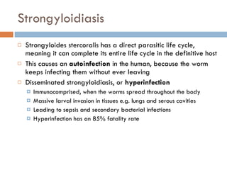 Strongyloidiasis Strongyloides stercoralis has a direct parasitic life cycle, meaning it can complete its entire life cycle in the definitive host This causes an  autoinfection  in the human, because the worm keeps infecting them without ever leaving Disseminated strongyloidiasis, or  hyperinfection Immunocomprised, when the worms spread throughout the body Massive larval invasion in tissues e.g. lungs and serous cavities Leading to sepsis and secondary bacterial infections Hyperinfection has an 85% fatality rate 