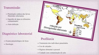 Transmissão
 Penetração cutânea das larvas
filarióides infectantes
 Ingestão de água ou alimentos
contaminados
 Auto-infecção
Diagnóstico laboratorial
 Exame parasitológico de fezes
 Sorologia
Profilaxia
 Tratamento dos indivíduos parasitados
 Uso de calçados
 Higiene alimentar e pessoal
 Cuidado com contaminação do solo
 