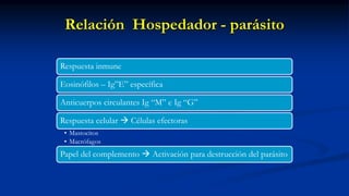 Relación Hospedador - parásito
Respuesta inmune
Eosinófilos – Ig”E” específica
Anticuerpos circulantes Ig “M” e Ig “G”
Respuesta celular  Células efectoras
• Mastocitos
• Macrófagos
Papel del complemento  Activación para destrucción del parásito
 