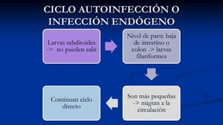 CICLO AUTOINFECCIÓN O
INFECCIÓN ENDÓGENO
Larvas rabditoides
-> no pueden salir
Nivel de parte baja
de intestino o
colon -> larvas
filariformes
Son más pequeñas
-> migran a la
circulación
Continuan ciclo
directo
 