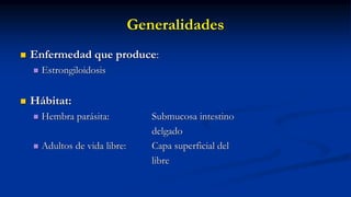 Generalidades
 Enfermedad que produce:
 Estrongiloidosis
 Hábitat:
 Hembra parásita: Submucosa intestino
delgado
 Adultos de vida libre: Capa superficial del
libre
 