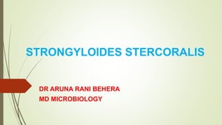 STRONGYLOIDES STERCORALIS
DR ARUNA RANI BEHERA
MD MICROBIOLOGY
 