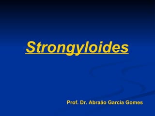 Strongyloides Prof. Dr. Abraão Garcia Gomes 