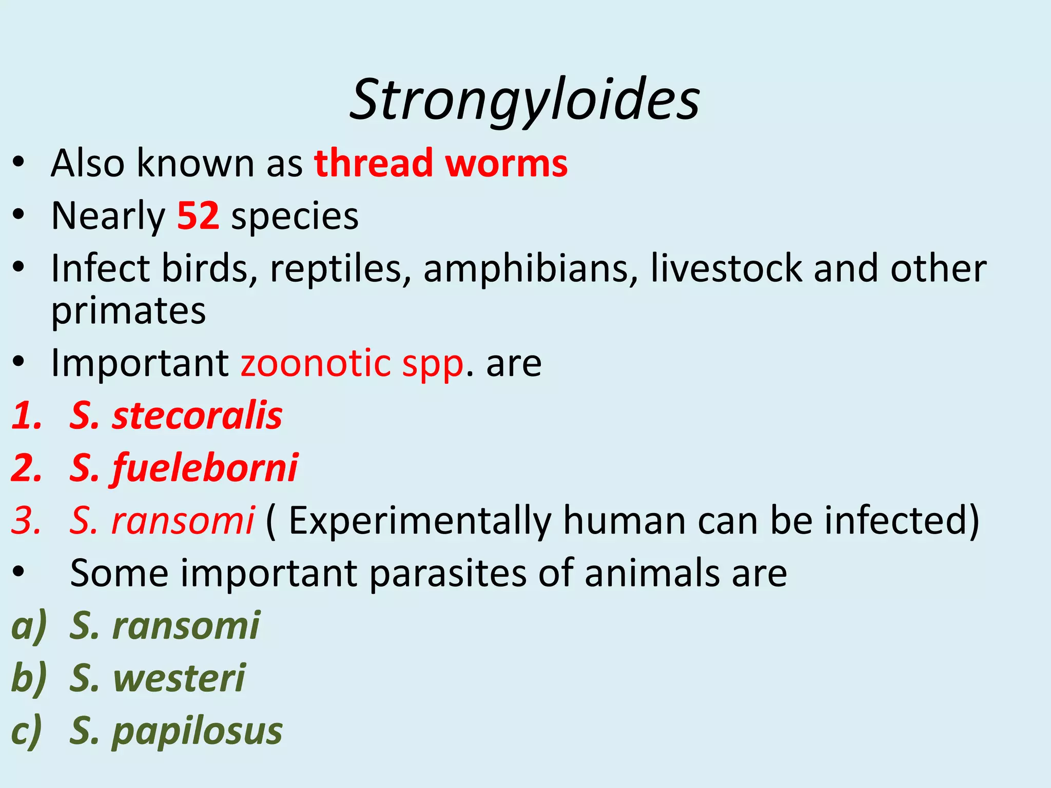 Strongyloides
• Also known as thread worms
• Nearly 52 species
• Infect birds, reptiles, amphibians, livestock and other
primates
• Important zoonotic spp. are
1. S. stecoralis
2. S. fueleborni
3. S. ransomi ( Experimentally human can be infected)
• Some important parasites of animals are
a) S. ransomi
b) S. westeri
c) S. papilosus
 