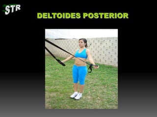 DELTOIDES POSTERIOR

 