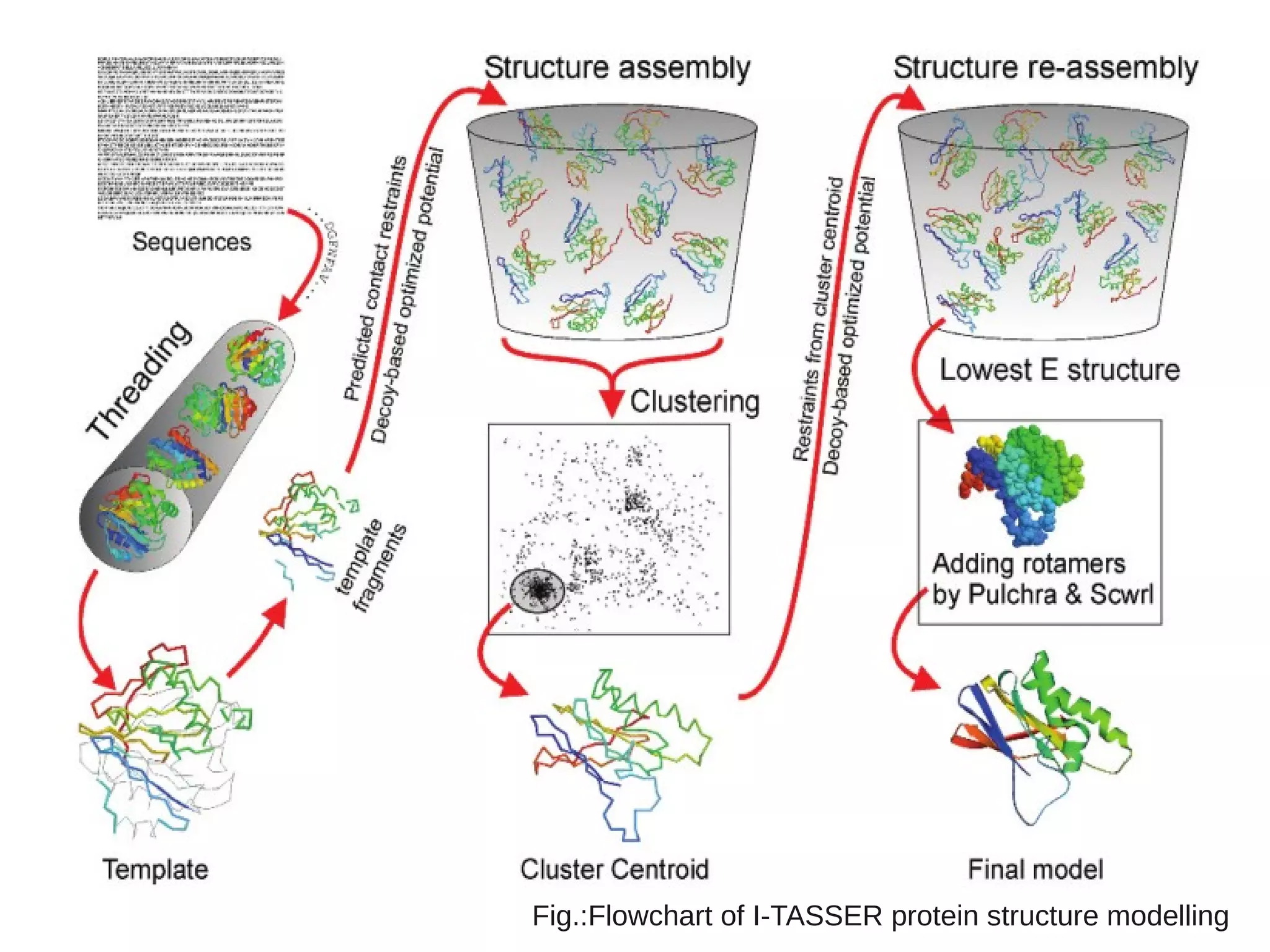 Fig.:Flowchart of I-TASSER protein structure modelling
 