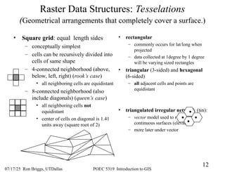 Rectangular Gis Pixels GIS tool input data structures and types | PPT