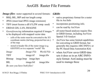 GIS Data Structures-From the 2-D Map to 1-D Computer Files | PPT