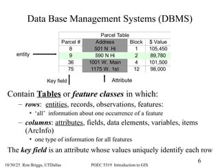 GIS Data Structures-From the 2-D Map to 1-D Computer Files | PPT