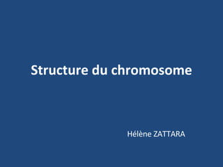 Structure du chromosome Hélène ZATTARA 