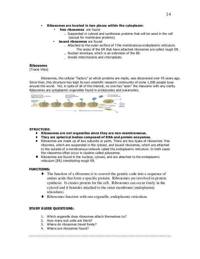 Struct functioncell organelles