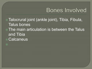 Talocrural joint (ankle joint), Tibia, Fibula,
Talus bones
The main articulation is between the Talus
and Tibia
Calcaneus

 