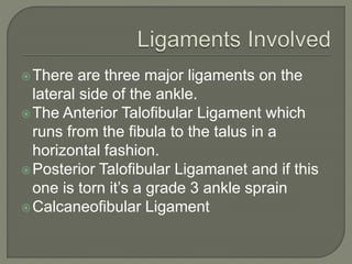 There are three major ligaments on the
lateral side of the ankle.
The Anterior Talofibular Ligament which
runs from the fibula to the talus in a
horizontal fashion.
Posterior Talofibular Ligamanet and if this
one is torn it’s a grade 3 ankle sprain
Calcaneofibular Ligament
 