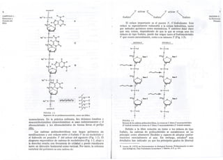 6 extremo s' 
Na+.O I H 
, H-II I 
-1=0 N 
'N/H 
X; 
""'N 
"p ~" O 
Na+-OI H 
° 'N/H 
-r=H 
I ~ifo 
JC: 
'-':N 
O 
Na+.O 
-PI=O 
I O 
? H f =L 
N~H 
HzC. 5' -<:: I ~N N'AN/H 
. HI 
Na+.0 
I -P=O O 
IH3C)L O N~H 
H265'H I ~ 
~o O 
Na+-O-pI=O 
1" 
OI extremo3' 
CAPITULO 1 : 
Estructura y 
Función del 
DNA 
A 
e 
G 
T 
p'" 
s'~A 
p 3' 
S'~C 
S'~G 
S""'--? T 
p 3' 
... 
pApCpGpTp 
FIGURA 1.2 
Segmento de un polidesoxinucleótido, como sal sádica, 
nomenclatura. En la práctica ordinaria, los términos timidina y 
desoxiITibotimidina (desoxitimidina) se usan indistintamente y el 
ribonucleósido y los ribonucleótidos de timina llevan el prefijo 
ribo. 
Las cadenas polinucleotídicas son largos polímeros sin 
ramificaciones y con enlaces entre d fosfato 5' de un nucleótido y 
el hidroxilo en posición 3' del azúcar del siguiente (Fig. 1-2). El 
diagrama esquemático de cadenas de nucleótidos (Fig. 1-2, abajo a 
la derecha) resulta con frecuencia de utilidad y puede visualizarse 
tanto en dirección horizontal como vertical Por tanto, la columna 
vertebral del polímero es una cadena de: . 
fosfato/5' azúcar3~ resCato/5' azúcar3~ fosfato 
7 
SECCION2: 
La Estructura 
Primaria 
El enlace importante es el puente 3', 5'-fosfodiester. Este 
enlace es especialmente vulnerable a la rotura hidrolftica, tanto 
por métodos químicos como enzimáticos. Y conviene dejar claro 
que esta rotura, dependiendo de que lo que se rompa sean los 
enlaces de tipo fosfato, puede dar origen tanto al fosfonucIeósido 
5' que ocurre naturalmente, como a su isómero 3' (Fig. 1-3), 
ROTURA S' ROTURA 3' 
,,. 
I -o-p=o . , 
f 0-[=0 5'H..t': I 
'l/°';j Base1 5'Hc 
"h:--t" 2V°';j Base1 
~o ');:-(' 
I o 
'o-p=o I 
I 'o-p=o 
o ~ ..> I 
I - --- ~ o 
5'H e I 
'~-' ""'V"'J-' ~o "b-f'1 
I o 
'o-p=o I 
, 'o-p=o 
o , 
, o 
5'H2c . , ~ -, "Y'l '-, o '~I 
I o 
-o-p=o I 
I .o-p=o 
o I 
1 o1 
FIGURA 1-3 
Roturas de las cadenas polinucleotídicas. La rotura en 5' libera S'.mononucleótidos 
(S'.fosforil termini); la rotura en 3' libera 3'-mononucleótidos (3' fosforil termini). 
Debido a la libre rotación en tomo a los enlaces de tipo 
fosfato, las cadenas de polinucIeótido se consideraron en un 
principio como altamente flexibles y capaces de adoptar confor-maciones 
esencialmente al azar. Sin embargo, estudios8 más 
detallados han indicado ya que los principales grados de libertad 
8. Lewitt, M. (1972) en Polymerization in Biological Systemil. (Polimerización en siste-mas 
biológicos), Ciba Foundation Symposium 7, EIsc:vier, N.Y. p. 147. 
 